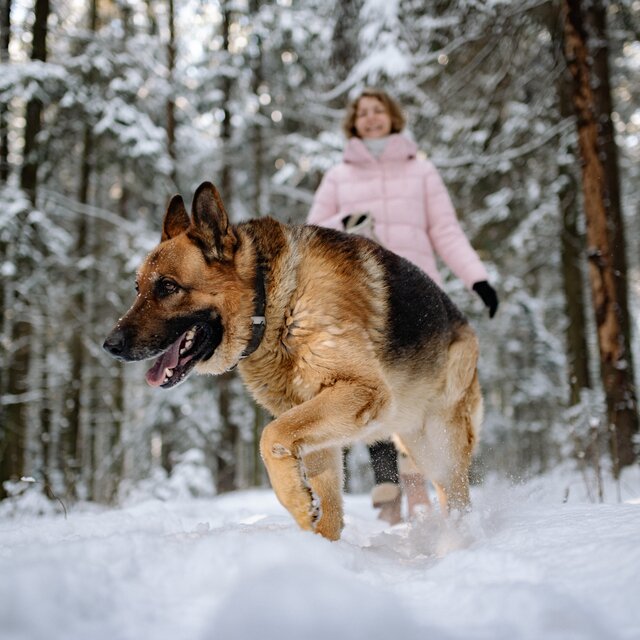 Frau mit Hund beim Winterwandern | © Yan Krukau - Pexels