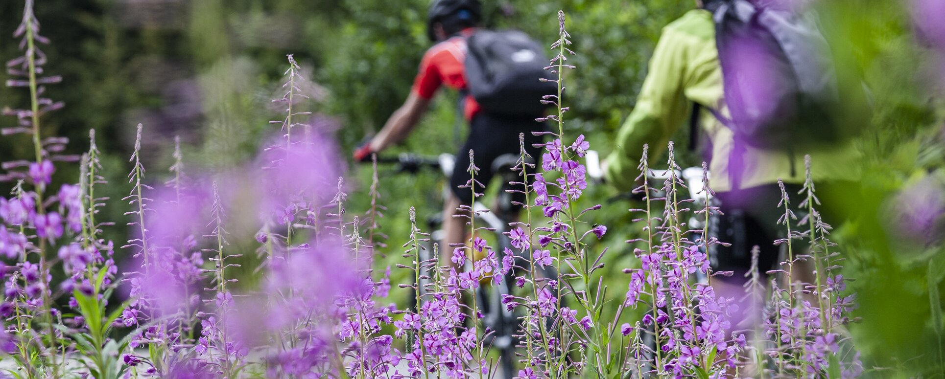 Biketour Vorarlberg | © Andreas Gassner / Vorarlberg Tourismus