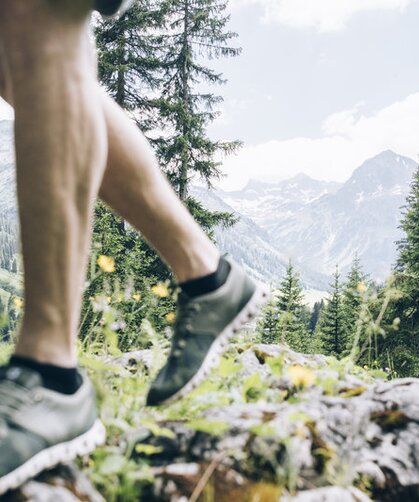 Wandern im Wald in Lech | © Daniel Zangerl / Lech Zuers Tourismus